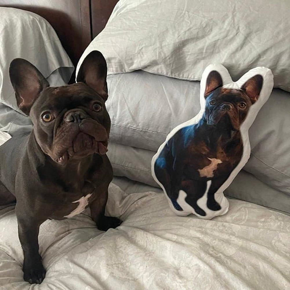 New Custom Photo Shaped Pillow