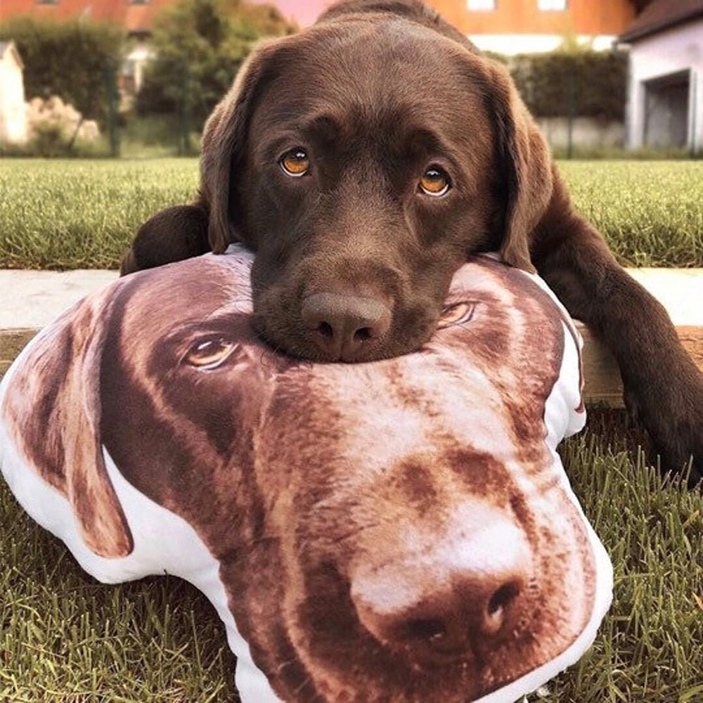 New Custom Photo Shaped Pillow